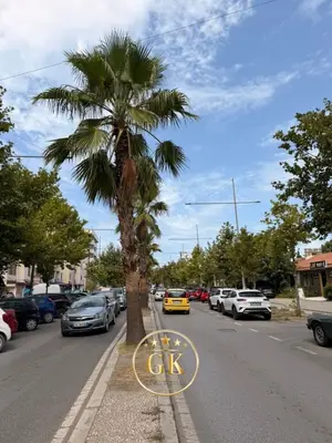 Commercial space for rent in Plazh, Durrës, 100 m². Photo 5 of 9