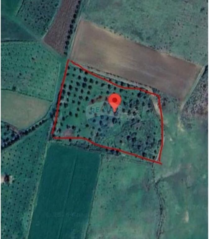 Tokë në shitje në Manez, Durrës, 10 860 m². Foto 2 nga 3