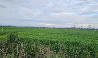 Tokë në shitje në Endi - Mbikalimi i Fllakës, Durrës, 6 000 m². Foto 2 nga 4