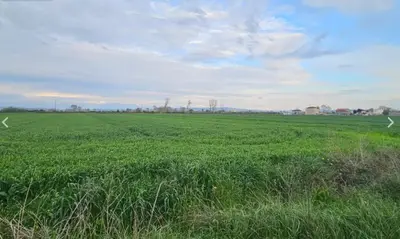 Tokë në shitje në Endi - Mbikalimi i Fllakës, Durrës, 6 000 m². Foto 4 nga 4