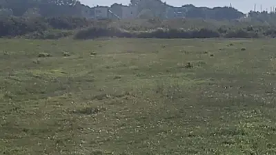 Tokë në shitje në Gjiri i Lalzit, Durrës, 6 000 m². Foto 7 nga 7