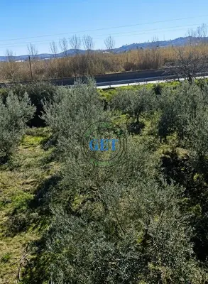 Land for sale in Maminas, Durrës, 3,150 m². Photo 2 of 6