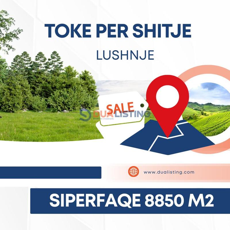 Terreno in vendita a Lushnje, Lushnja, 8.850 m²