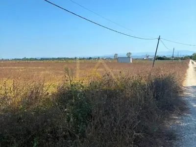 Tokë në shitje në Bisht Kamez, Durrës, 26 000 m². Foto 5 nga 5