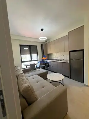 Appartamento 1+1 in affitto a Selvia, Tirana, 50 m². Foto 1 di 5