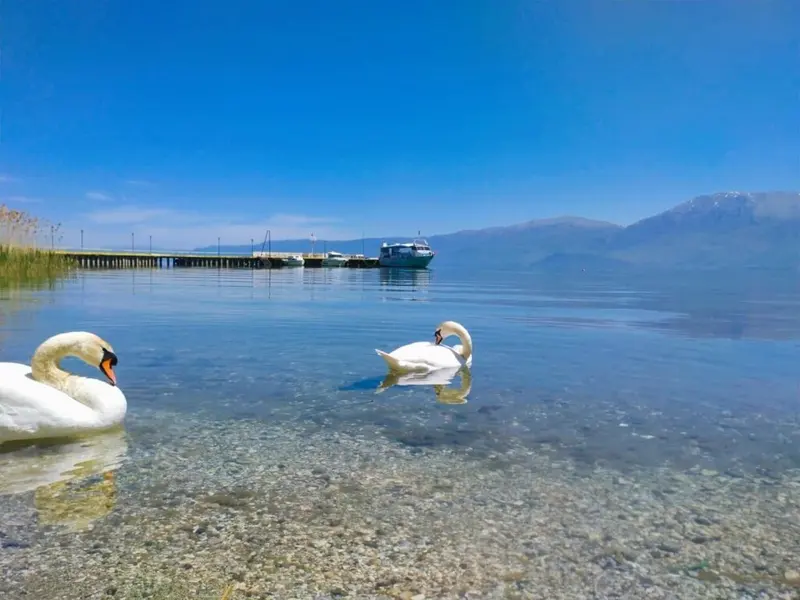 Tokë në shitje në Pogradec District Court, Pogradec, 130 m²