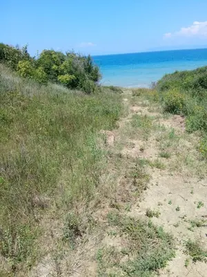 Tokë në shitje në Kepi i Rodonit, Durrës, 3 850 m². Foto 2 nga 4