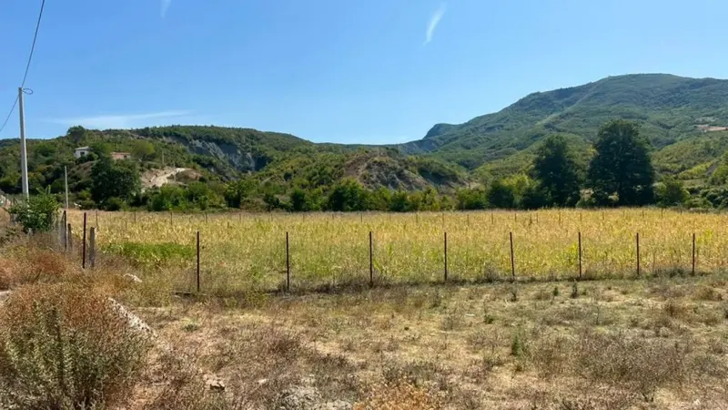 Tokë në shitje në Baldushk, Tiranë, 9 000 m²