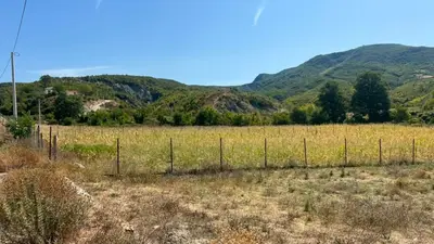 Tokë në shitje në Baldushk, Tiranë, 9 000 m². Foto 1 nga 6