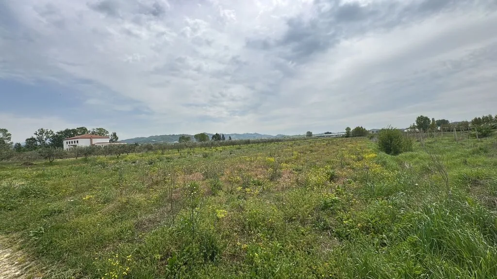 Tokë në shitje në Koxhas, Durrës, 10 000 m². Foto 1 nga 4