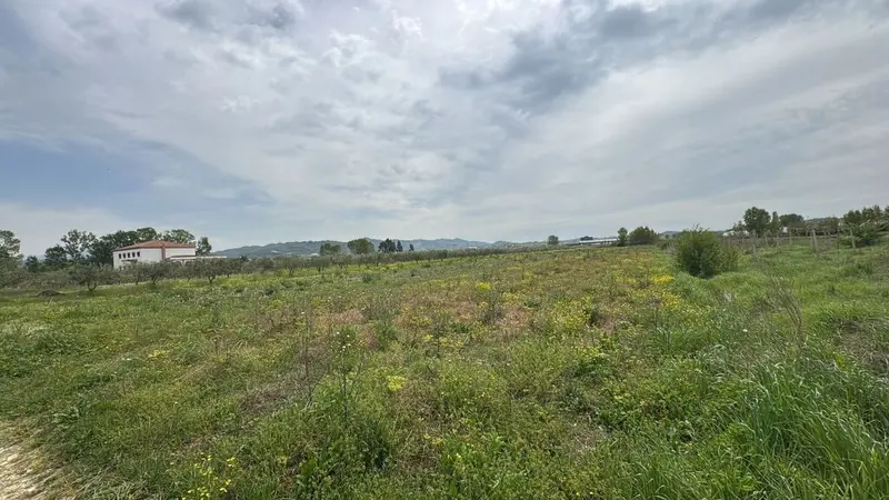 Land for sale in Koxhas, Durrës, 10,000 m²