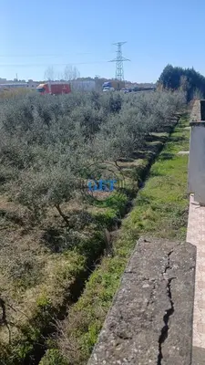 Land for sale in Maminas, Durrës, 3,150 m². Photo 6 of 6