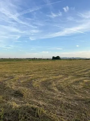 Tokë në shitje në Qerret, Durrës, 14 400 m². Foto 2 nga 3