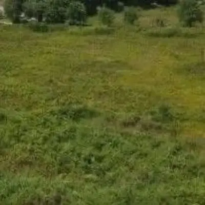 Land for sale in Durrës, 6,600 m². Photo 2 of 3