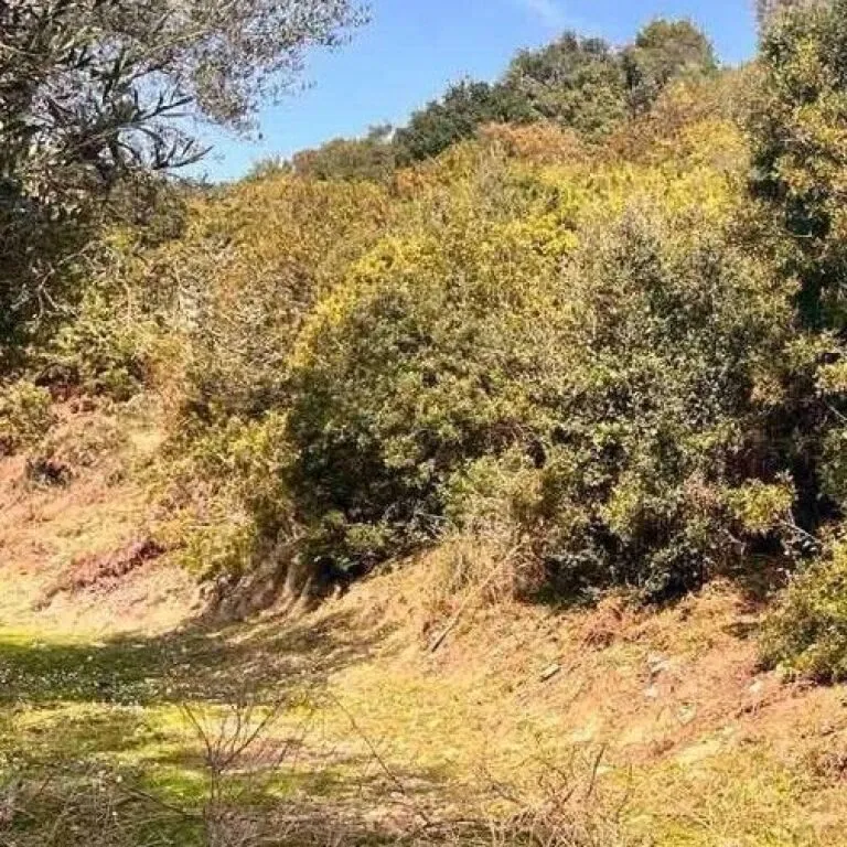 Terreno in vendita a Lukove, Saranda, 1.000 m². Foto 1 di 3