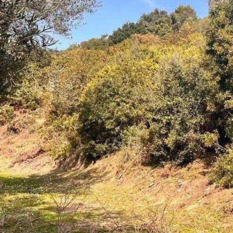 Tokë në shitje në Lukove, Sarandë, 1 000 m²