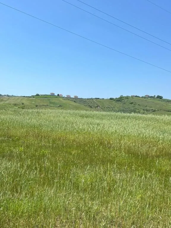 TokĂ« nĂ« shitje nĂ« Pjeze, DurrĂ«s, 8 000 mÂČ. Foto 1 nga 5