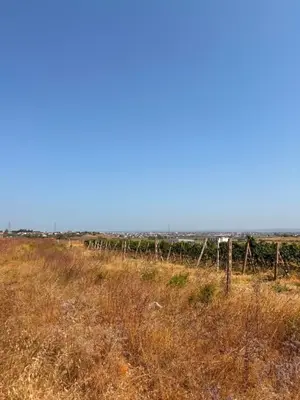Tokë në shitje në Shkallnur, Durrës, 8 218 m². Foto 6 nga 10