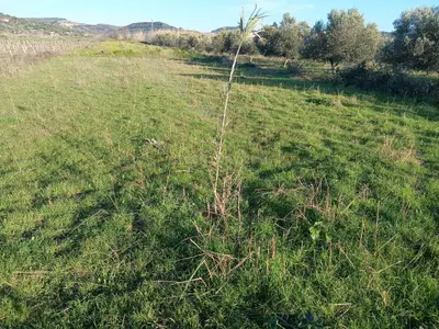 Tokë në shitje në Panaja, Vlorë, 1 000 m². Foto 3 nga 9
