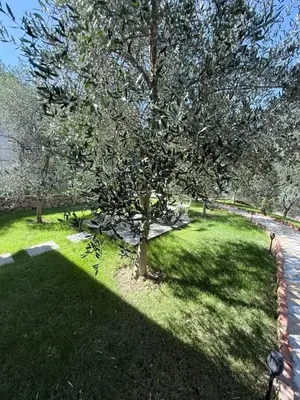 Shtëpi private me qera në Petrelë, Tiranë, 180 m². Foto 10 nga 11