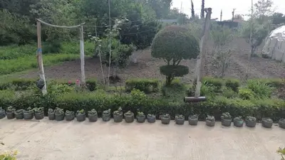 House for sale in Jubë, Durrës, 1,700 m². Photo 2 of 7