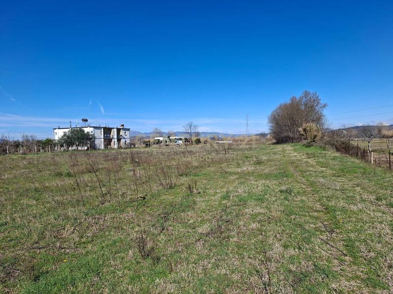 Land for sale in Velipoje, Shkodër, 7,000 m²