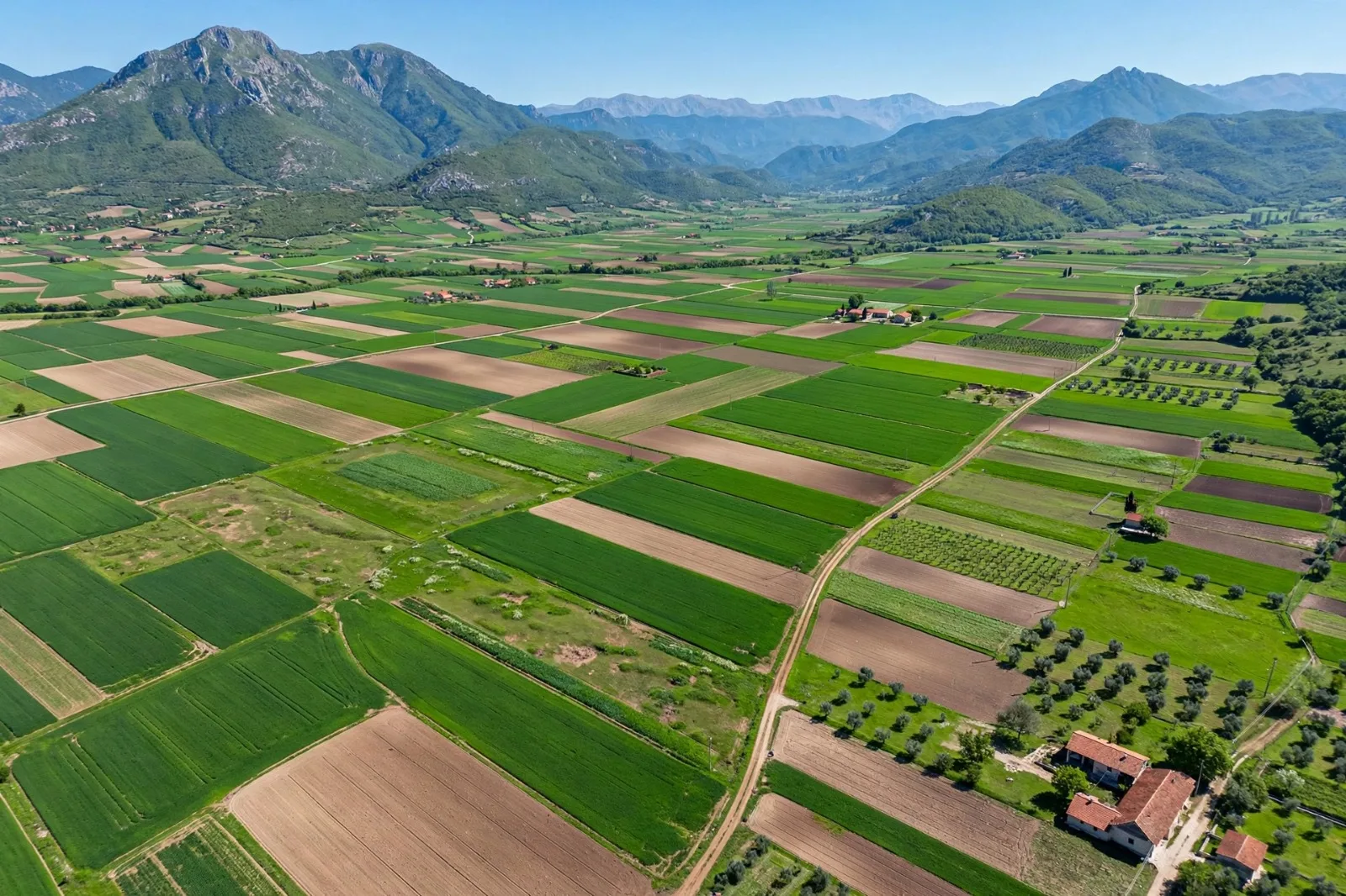 Terreno in vendita a Rinas, Tirana, 12.000 m². Foto 1 di 1