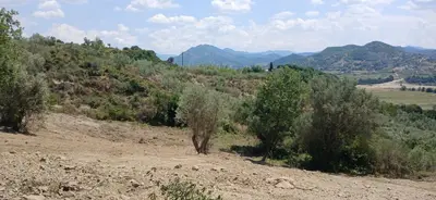 Tokë në shitje në Picall, Tiranë, 3 000 m². Foto 1 nga 2
