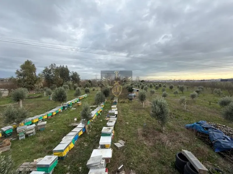 Terreno in vendita a Shënavlash, Durazzo, 16.430 m²