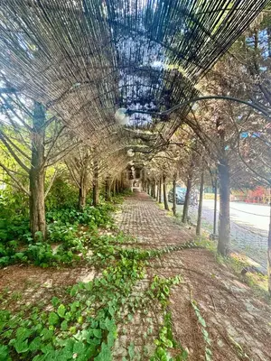 Lokal me qera në Peze, Tiranë, 1 821 m². Foto 5 nga 5
