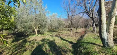Shtëpi private në shitje në Ibë, Tiranë, 394 m². Foto 8 nga 10