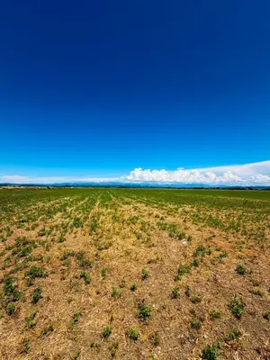 Land for sale in Fllake, Durrës, 15,150 m². Photo 6 of 6