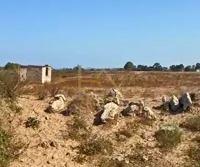 Tokë në shitje në Sektori Rinia, Durrës, 10 000 m². Foto 3 nga 3