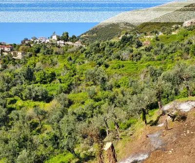Tokë në shitje në Lukove, Sarandë, 650 m². Foto 1 nga 8