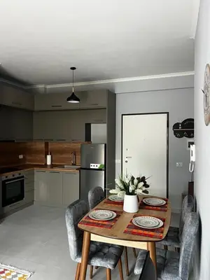 Appartamento 1+1 in affitto ad Oxhaku, Tirana, 60 m². Foto 3 di 8