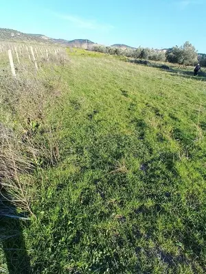 Tokë në shitje në Panaja, Vlorë, 1 000 m². Foto 4 nga 9