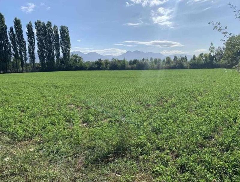 Tokë në shitje në Laknas, Kamëz, 1 000 m²