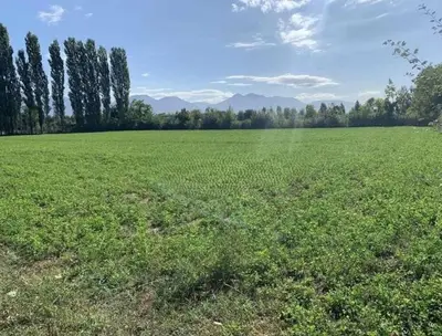 Tokë në shitje në Laknas, Kamëz, 1 000 m². Foto 1 nga 2
