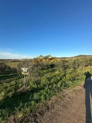 Land for sale in Manez, Durrës, 6,350 m². Photo 3 of 9