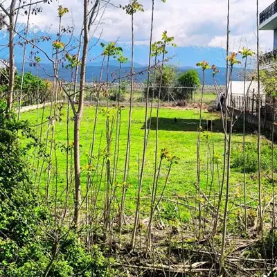 Tokë në shitje në Kuçova Military Airport, Berat, 1 000 m². Foto 5 nga 6