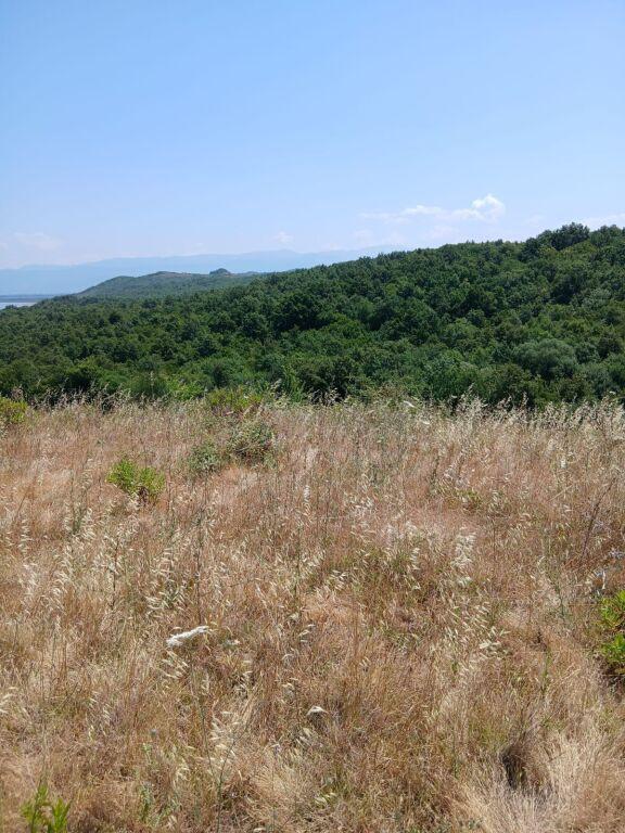 Tokë në shitje në Kepi i Rodonit, Durrës, 7 200 m². Foto 3 nga 5