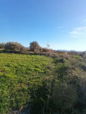 Tokë në shitje në Panaja, Vlorë, 1 000 m². Foto 2 nga 9