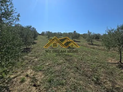Land for sale in Manez, Durrës, 6,350 m². Photo 4 of 9