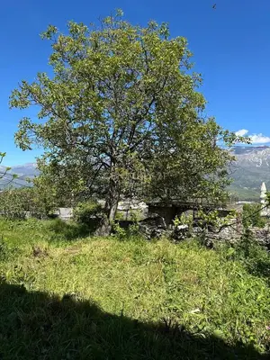 Vilë në shitje në Rruga Bule Naipi, Gjirokastër, 681 m². Foto 3 nga 5