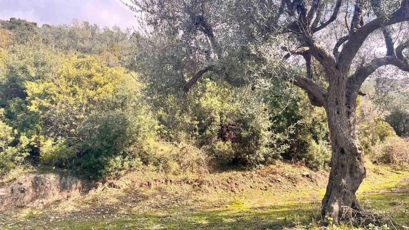 Tokë në shitje në Lukove, Sarandë, 1 000 m². Foto 2 nga 5