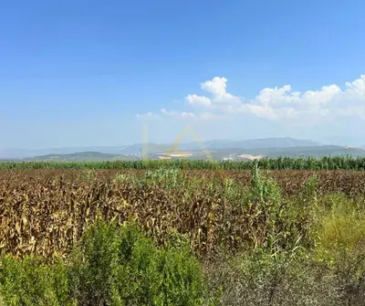 Land for sale in Derven, Durrës, 9,050 m². Photo 2 of 4