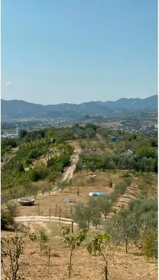 Land for sale in Berxull, Tirana, 13,860 m². Photo 2 of 3