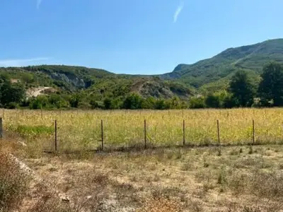 Tokë në shitje në Baldushk, Tiranë, 5 000 m². Foto 2 nga 3