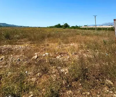 Tokë në shitje në Valias, Kamëz, 10 000 m². Foto 3 nga 8