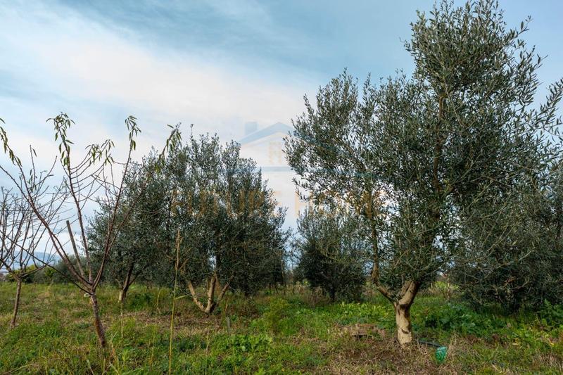 Shtëpi private në shitje në KATUND RI, Durrës, 9 480 m². Foto 4 nga 12